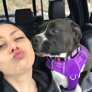 Meet your Posher, Tara